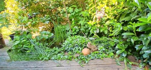 Foto - 5 Zimmer Einfamilienhaus in Ostenfeld (Husum)