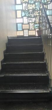 Foto - Mehrfamilienhaus, Wohnhaus in Bochum zum Kaufen