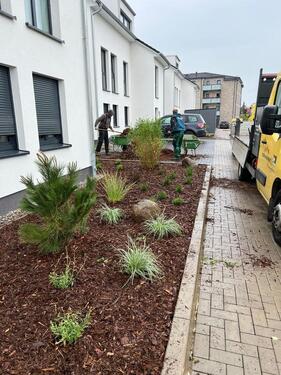 Foto - 2 Zimmer Terrassenwohnung zur Miete in Waren (Müritz)