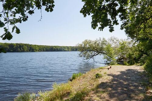 Foto - andere in Potsdam zur Miete