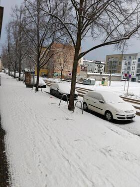 Foto - Erdgeschoßwohnung in Magdeburg zur Miete