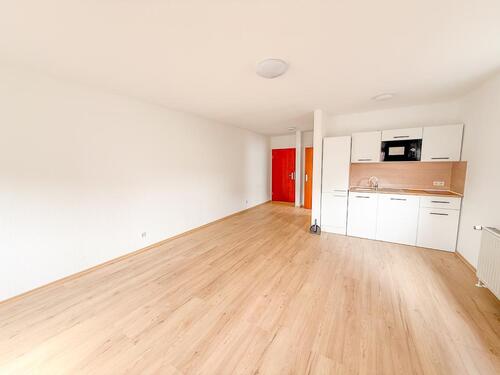 Foto - 1 Zimmer Erdgeschoßwohnung zur Miete in Speyer