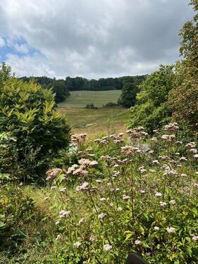Foto - Einfamilienhaus in Breitscheid zum Kaufen