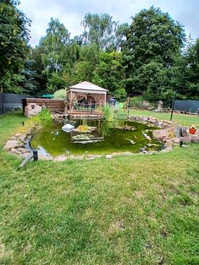 Foto - Einfamilienhaus in Ahlsdorf zur Miete