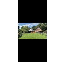 Ab 01.06.26zu vermieten: Haushälfte in Haltern am See