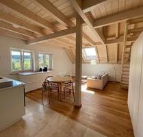 Moderne 1,5-Zimmer-Wohnung im Grünen – Nachhaltig und stillvoll - Oberscheinfeld