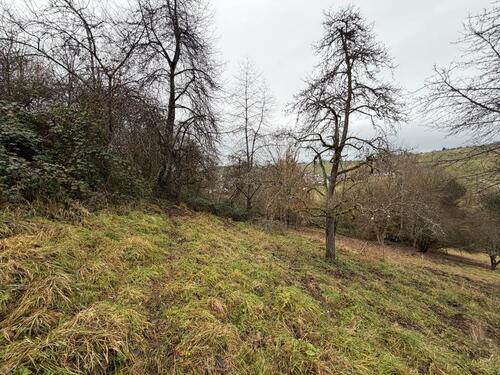 Foto - Grundst&uuml;ck zur Miete in Weinstadt