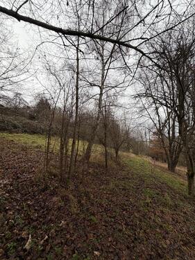 Foto - Grundst&uuml;ck in Weinstadt
