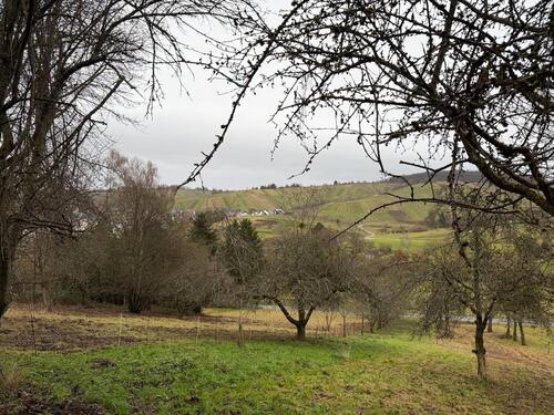 Foto - Grundst&uuml;ck in Weinstadt zur Miete