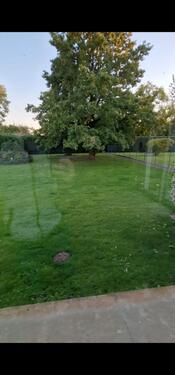 Foto - Schöne EG Wohnung mit großem Garten in Geseke OT zu vermieten