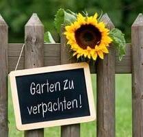 Freie Gärten abzugeben - 500,00&nbsp;EUR Kaltmiete, ca.&nbsp; 0,00&nbsp;m&sup2; in Bitterfeld-Wolfen (PLZ: 06766)