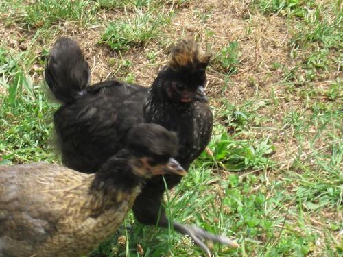 Foto - Etagenwohnung in Gräfenberg