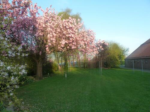 Foto - 8 Zimmer Bauernhaus, Landhaus zur Miete in Westerholt