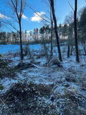 Foto - Freizeit und Erholungs Grundstück Garten Hütte Weiher