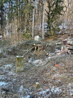 Foto - Grundst&uuml;ck zur Miete in Mayen