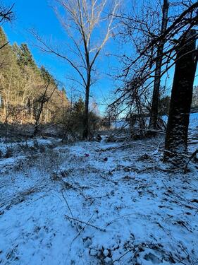 Foto - Grundst&uuml;ck in Mayen zur Miete