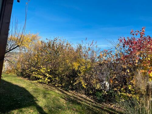Foto - Etagenwohnung in Meschede