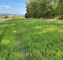 Wiesengründstück , freizeitgründstück, Obstbäume - Kirchheimbolanden