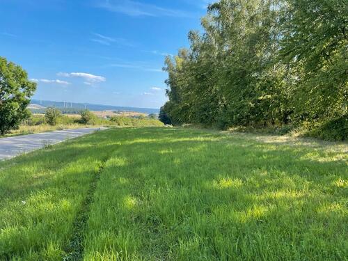 Foto - Grundst&uuml;ck in Kirchheimbolanden