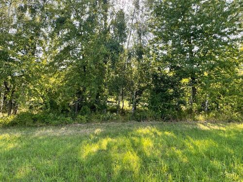 Foto - Grundst&uuml;ck in Kirchheimbolanden zur Miete