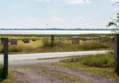 Foto - andere in Husum