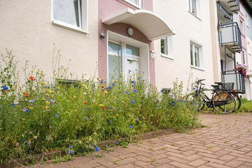 Foto - Etagenwohnung zur Miete in Dortmund