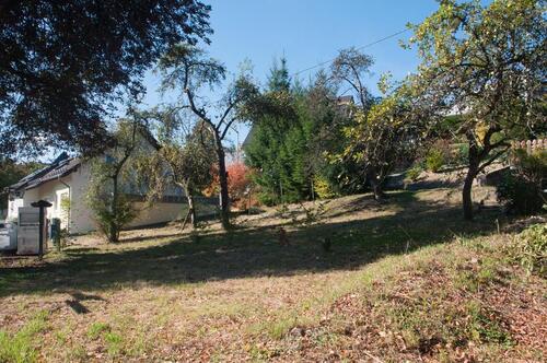 Foto - Bauernhaus, Landhaus in Siegen zum Kaufen