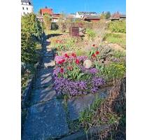 Garten zum abgeben - 1.000,00&nbsp;EUR Kaltmiete, ca.&nbsp; 0,00&nbsp;m&sup2; in Freital (PLZ: 01705)