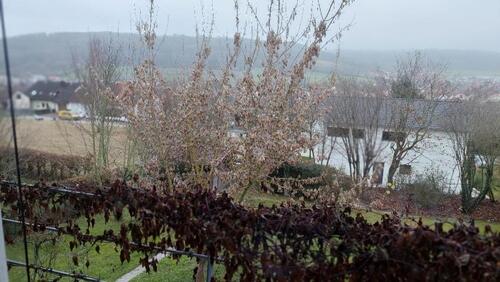 Foto - Ferienwohnung - 30,00&nbsp;EUR Kaltmiete,