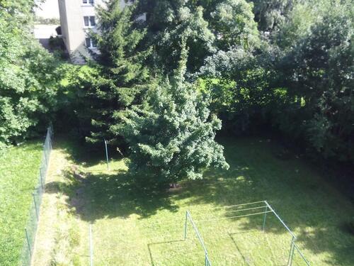 Foto - Sonnige 4-Raumwohnung mit großem Garten, ruhig und zentrumsnah