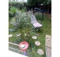 3 Zi EG Whg 77m2 mit eigenem Garten ca. 100m2-LEV-Opladen - Leverkusen