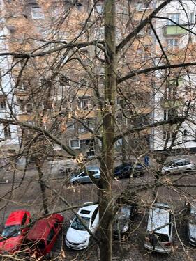 Foto - Vermietete Eigentumswohnung zu verkaufen