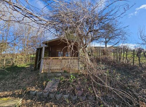 Foto - Gartengrundstück in Zunsweier zu verpachten