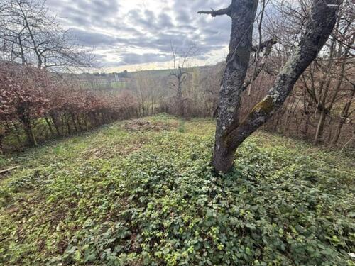 Foto - Grundst&uuml;ck in Offenburg zur Miete