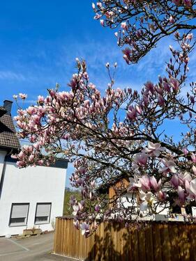 Foto - Einfamilienhaus in Schwerte