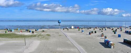 Foto - Ferienwohnung ⚓️ Nordsee Dornumersiel für 4 Per. Hund