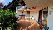 Foto - Einfamilienhaus in Biberbach zum Kaufen