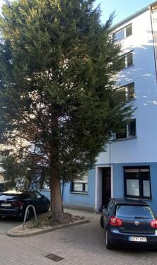 Foto - Großzügige und helle Wohnung in verkehrsberuhigter Seitenstraße