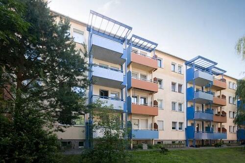Foto - 2 Zimmer Erdgeschoßwohnung in Wittenberg Lutherstadt