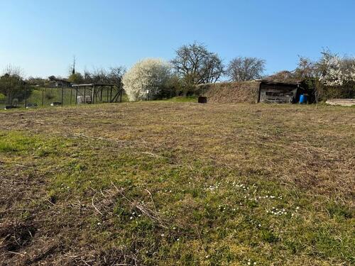 Foto - Garten zu verpachten - 60,00&nbsp;EUR Kaltmiete, ca.&nbsp; 0,00&nbsp;m&sup2;