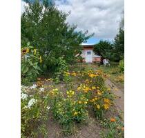 Kleingarten - 2.350,00 EUR Kaltmiete, ca.  0,00 m² in Neubrandenburg (PLZ: 17034) Datzeberg