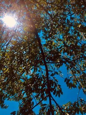 Foto - Einfamilienhaus zum Kaufen in Oschatz