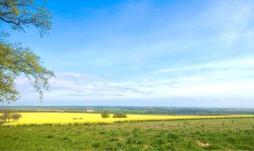 Foto - Einfamilienhaus in Oschatz