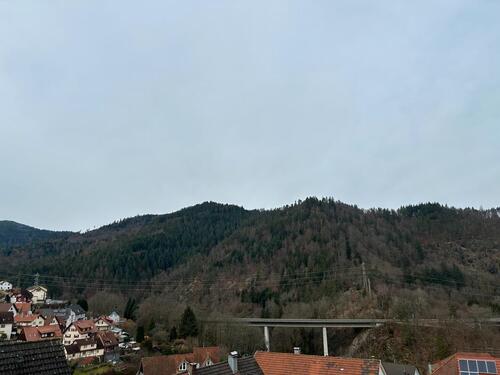 Foto - 5 Zimmer Einfamilienhaus zum Kaufen in Forbach