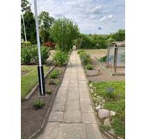 Kleingarten Schrebergarten zu sofort abzugeben - Peine