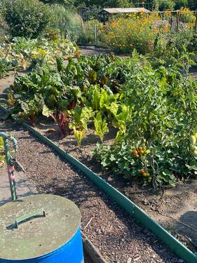 Foto - Grundst&uuml;ck zur Miete in Peine