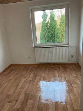 Foto - 3 Zimmer Etagenwohnung zur Miete in Munster