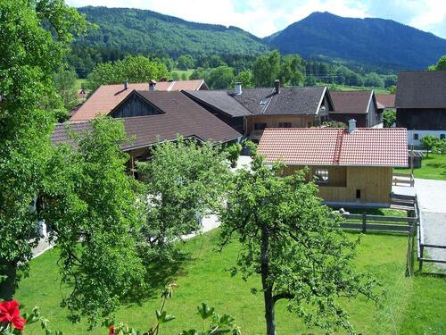Foto - Ferienwohnung Bauernhof Ponyreiten Therme