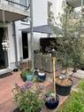 Foto - 3 Zimmer Erdgeschoßwohnung zum Kaufen in Bonn