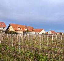 wunderschönes Zweifamilienhaus in idyllischer Lage | von privat - Freimersheim (Pfalz) wunderschönes Zweifamilienhaus in idyllischer Lage | von privat - Freimersheim (Pfalz)